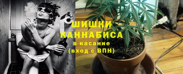 МДПВ Бугульма